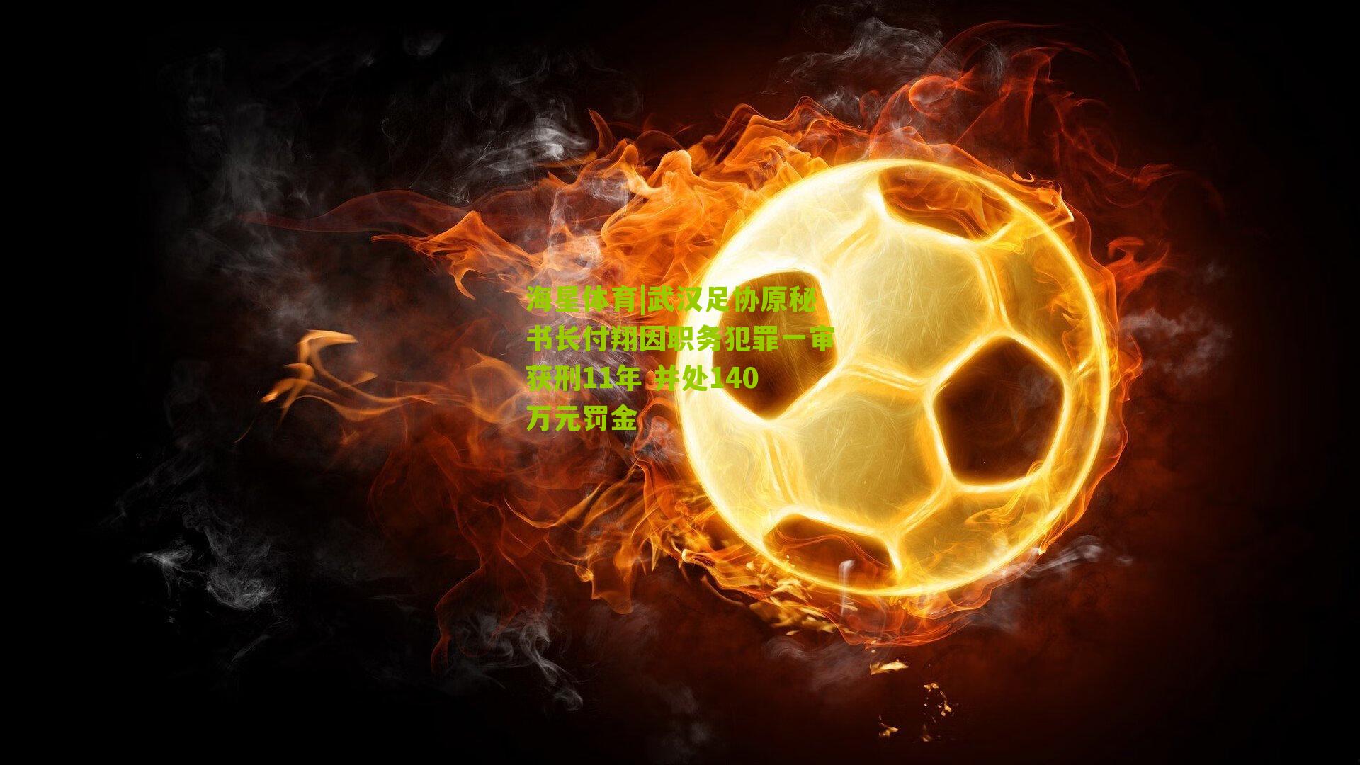 武汉足协原秘书长付翔因职务犯罪一审获刑11年 并处140万元罚金