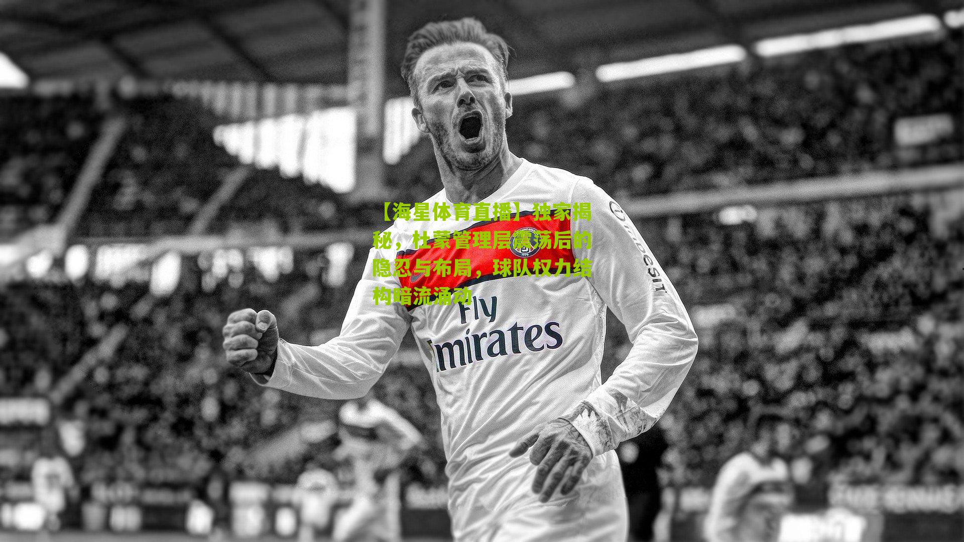 独家揭秘,杜蒙管理层震荡后的隐忍与布局,球队权力结构暗流涌动