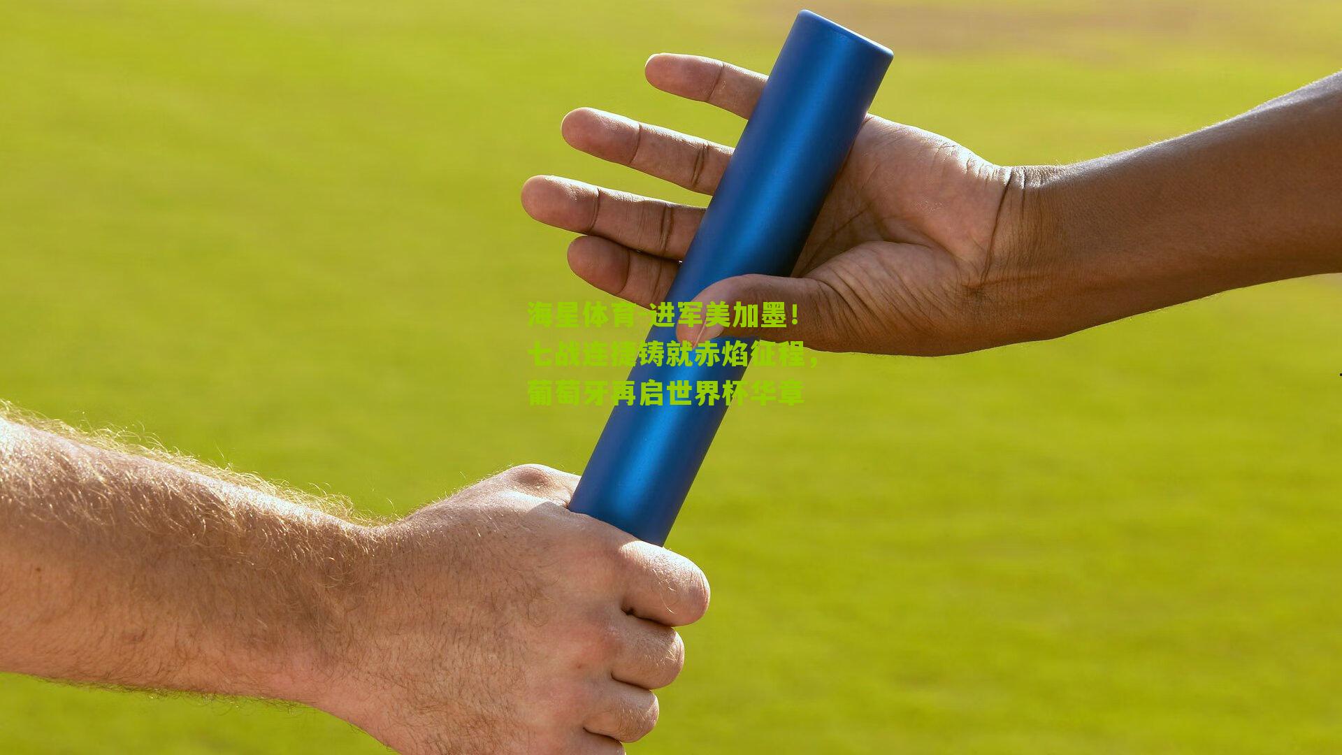 进军美加墨！七战连捷铸就赤焰征程，葡萄牙再启世界杯华章